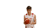 Fric Ball Spinning Sticker by Basketball Nymburk