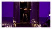 Sexy Fitness GIF by obsessivelingerie