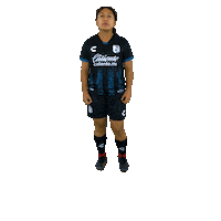 Gallos Celebrate Sticker by Club Querétaro