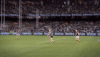 carlton fc GIF by Carlton Football Club