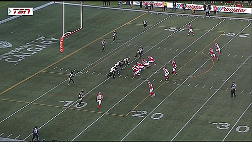 archley giphyupload football 2024 hamilton GIF