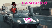 Metis Kolby GIF by MonkexNFT