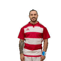 Try Meta Sticker by RIMINI RUGBY