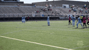 soccer goal GIF by Minneapolis City SC