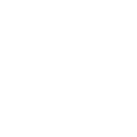 ladopapa angry 生氣 怒 哼 Sticker