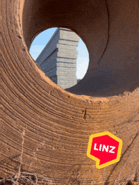 Focus Austria GIF by Linz News