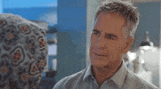 Ncis New Orleans GIF by CBS