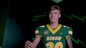 Bison GIF by NDSU Athletics