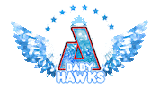 Cheer Wings Sticker by AirbornAllstars
