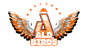 Cheer Wings Sticker by AirbornAllstars
