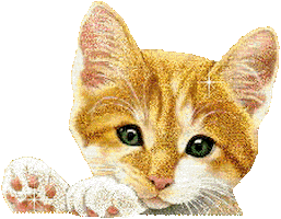 de gatos STICKER