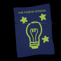 Nueva Fund GIF by The Nueva School