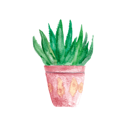 Plants Watercolor Sticker by Hello Ginger