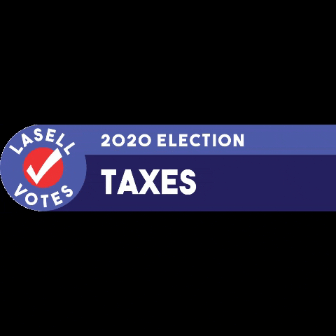 LasellVotes giphygifmaker vote election taxes GIF