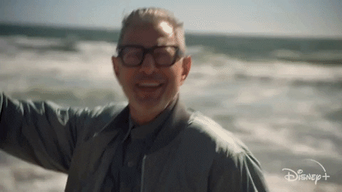 Episode 2 GIF by The World According to Jeff Goldblum | Disney+