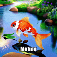 Motion Wisdom GIF by TheConfishius