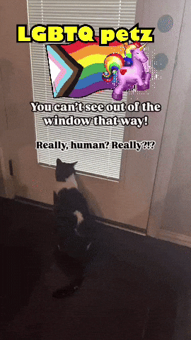 jeremyhyde627ac136f06448b08fd84066bbcb6435 giphyattribution lgbtq petz GIF