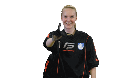 Floorball Salibandy Sticker by F-liiga