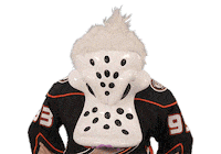 Ice Hockey Sticker by NHL