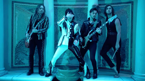 primadonna like me GIF by thestruts