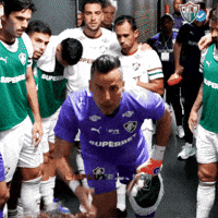Fluminense GIF