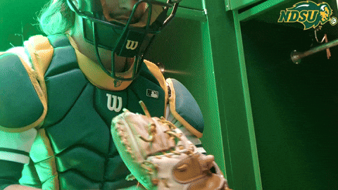 North Dakota State Catch GIF by NDSU Athletics