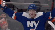 Ice Hockey Sport GIF by NHL