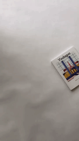 vindagua GIF