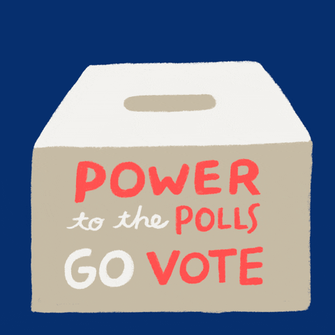 Right To Vote Election 2020 GIF by #GoVote