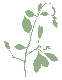 Beauty Sticker by Pai Skincare