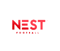 Assist Serie D Sticker by NestFootball
