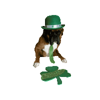 loutheboxerdog dog boxer lou leprechaun Sticker