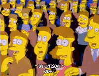 Season 1 GIF by The Simpsons