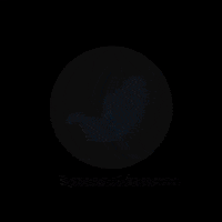 Stomach Bypass GIF by Dr. Bortolotti