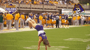 Happy Game Time GIF by College Colors Day