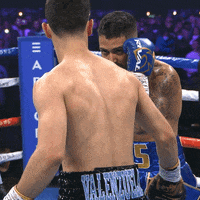 Fight Knockout GIF by Premier Boxing Champions