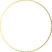 Golden Circle Loop Sticker by topgemerkt