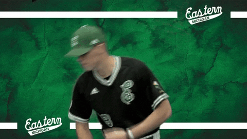 Emueagles Emubaseball GIF by EMU Athletics