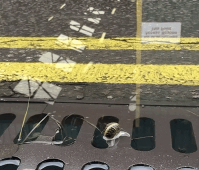slowgifs giphyupload swimming slow reflection GIF