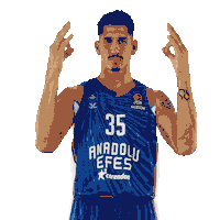 Sport Basketball Sticker by Anadolu Efes SK