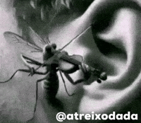 Mosquito GIF