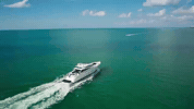 florida GIF