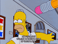 homer simpson GIF