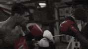 boxing training GIF by Dusty Hernandez-Harrison