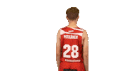 Sport Basketball Sticker by Basket_fi