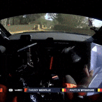 Hyundai Neuville GIF by FIA World Rally Championship