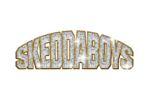 Skeddaboys giphyupload shiny blinkblink skedda Sticker