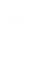 Flower Wish Sticker by jenny henderson studio