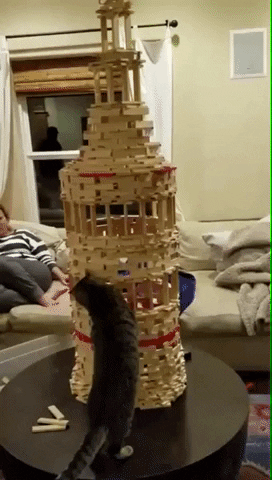 madmoizelledotcom giphyupload GIF