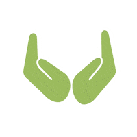 Skincare Tree Sticker by Origins